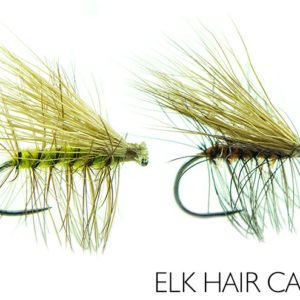 Sausa musė Caddis