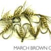 March Brown Gold