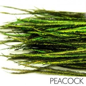 Polish Quills povo plunksna