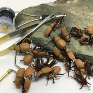 Karkvabalis