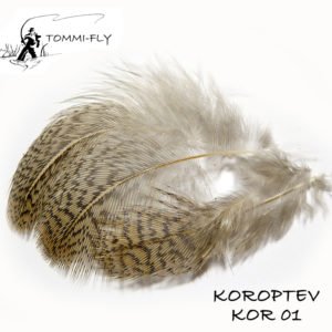 Rusvos Kurapkos Plunksnos