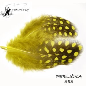 perlinės vištos plunksnos