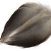 mallard spey plunksnos