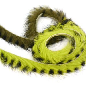 Barred triušio zonkeris