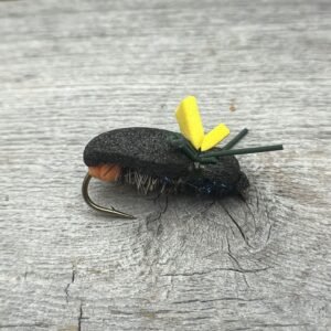 juodas vabalas šapalui