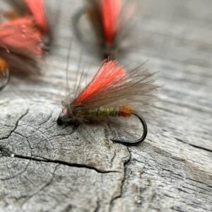 Hotspot caddis