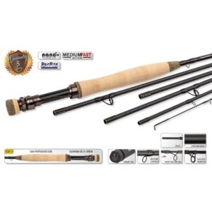 Traper Concept Combo