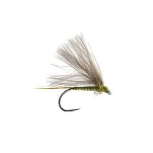 BWO Golven Olive