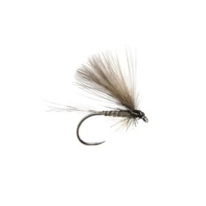 BWO Natural