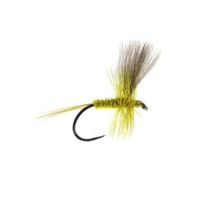 Feather Hackle Olive