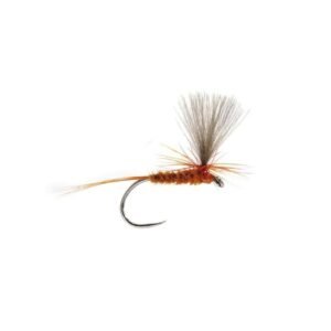 Feather Parachute Ginger