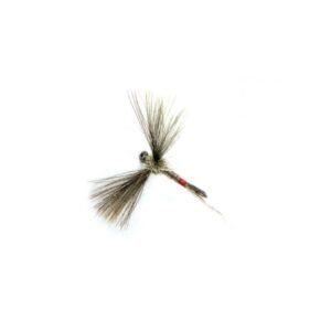 V-FLY